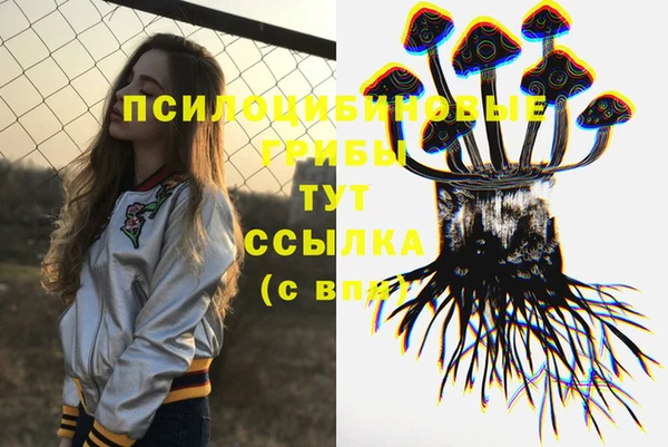 твердый Абдулино