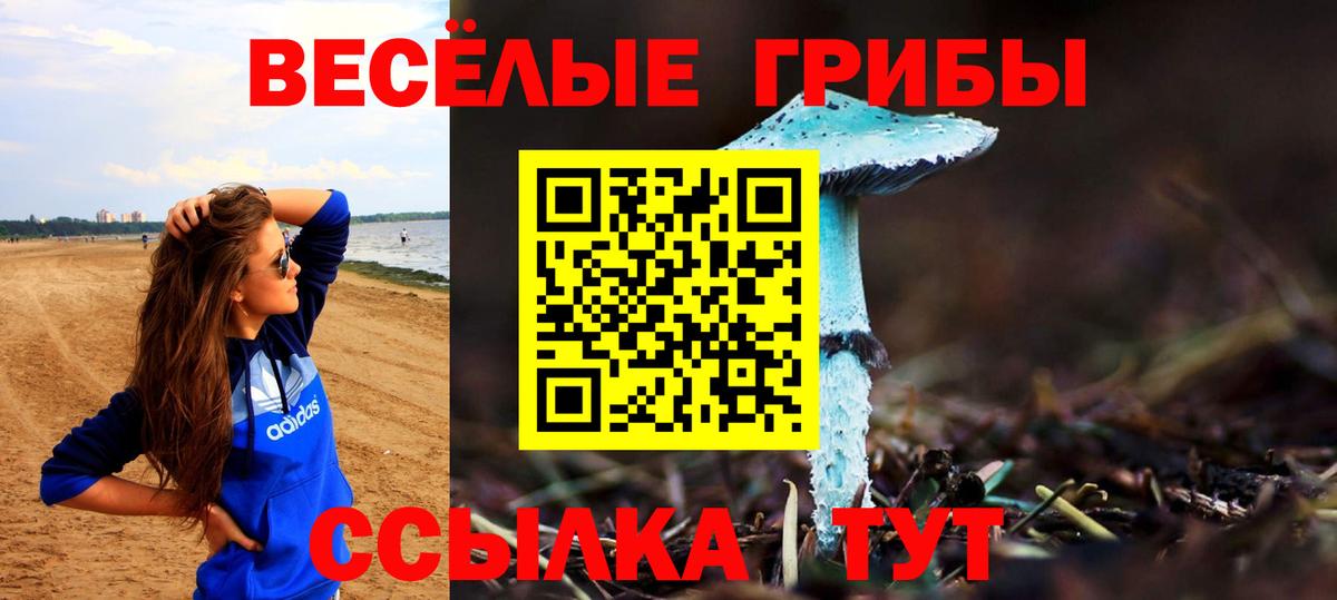 Галлюциногенные грибы мицелий  Вход с VPN  где найти наркотики  Ярославль 