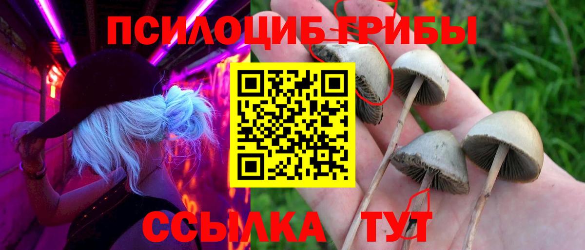 Галлюциногенные грибы ЛСД Ярославль