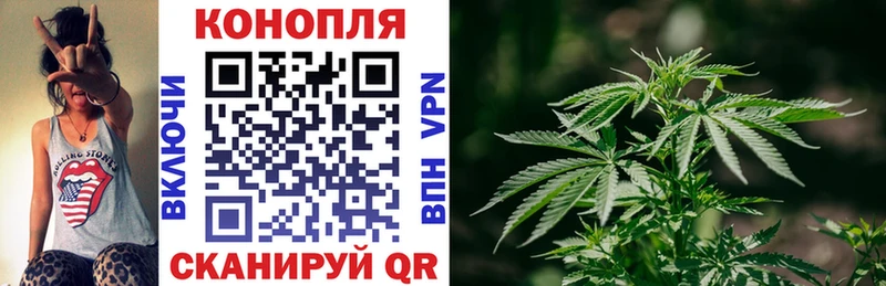 mega ссылка  Ярославль  Каннабис OG Kush 